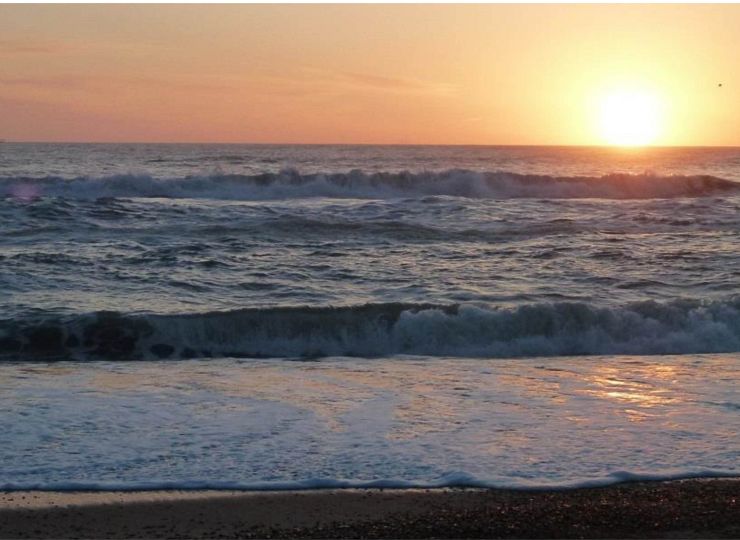 Referater fra diverse møder m.m. ...